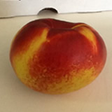 CE101